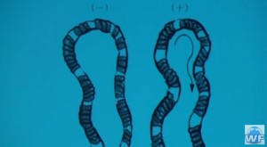 2016y01m22d_111554687