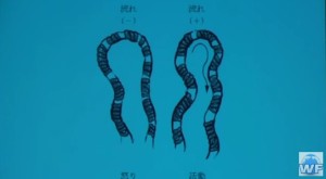 2016y01m22d_111629216