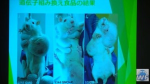 2015y12m16d_205638598