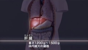 2015y08m29d_135512550