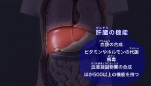 2015y08m29d_135521642