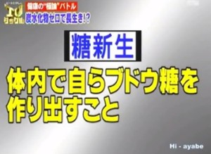 2015y12m16d_194259131