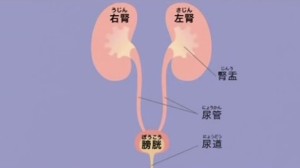 2015y09m02d_065047130