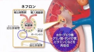 2015y09m02d_065227095