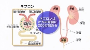 2015y09m02d_065323222