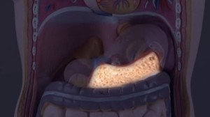 2015y09m02d_094808122