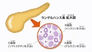 2015y09m02d_094846432