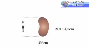 2015y09m02d_095902467