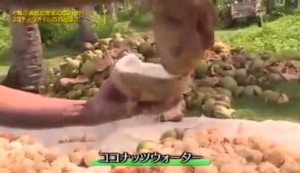 2015y11m04d_071143746