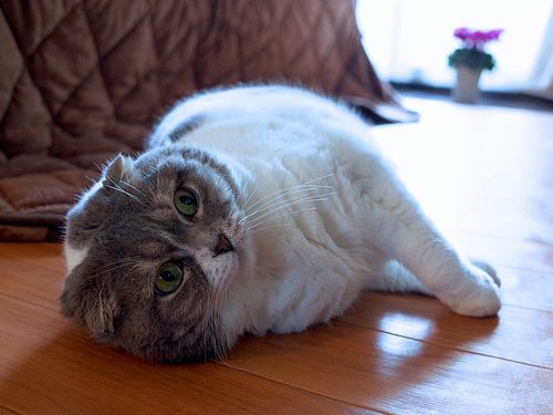 14359037_1100273350050677_5006127149126837728_n